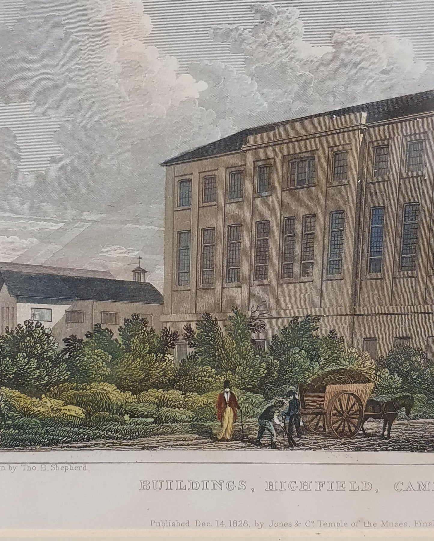 Buildings, Highfield, Camden Road Vintage Art Print - 103756