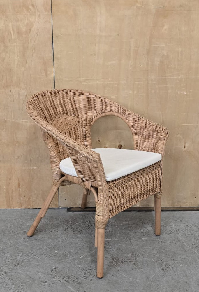 IKEA AGEN Single Rattan Chair with Seat Cushion - 104744