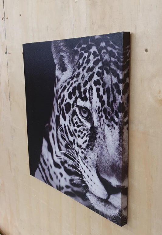 Leopard Canvas Art Print - 060225-05