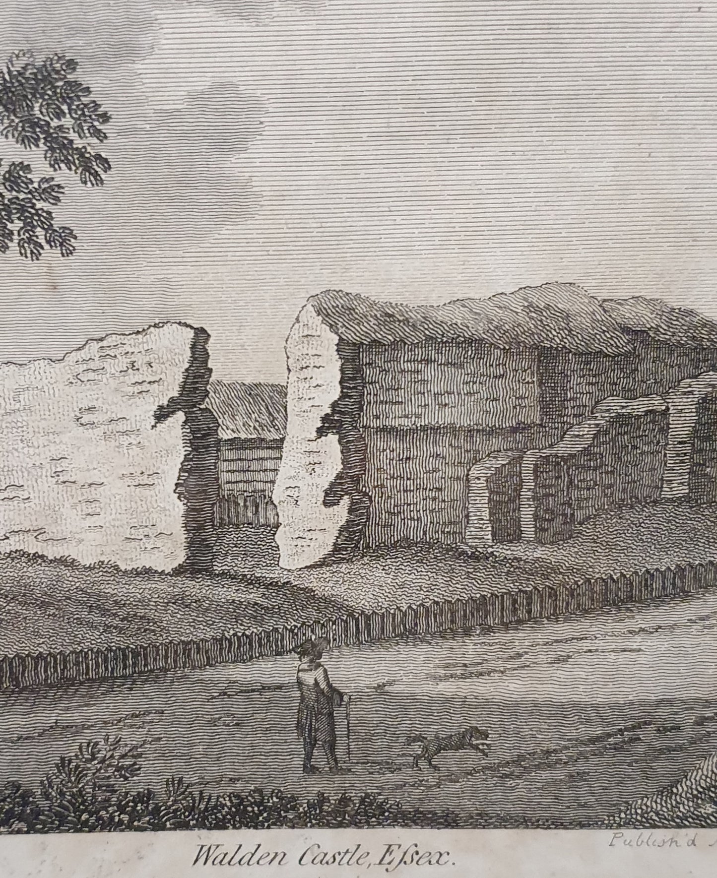 Walden Castle, Essex Vintage Art Print - 103746