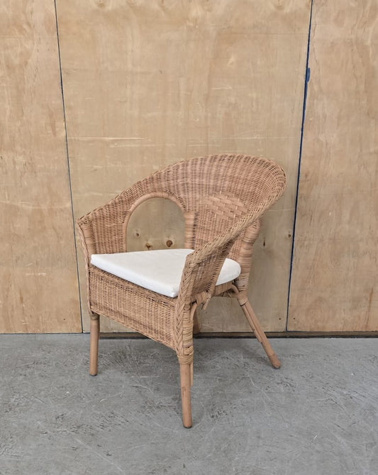 IKEA AGEN Single Rattan Chair with Seat Cushion - 104744