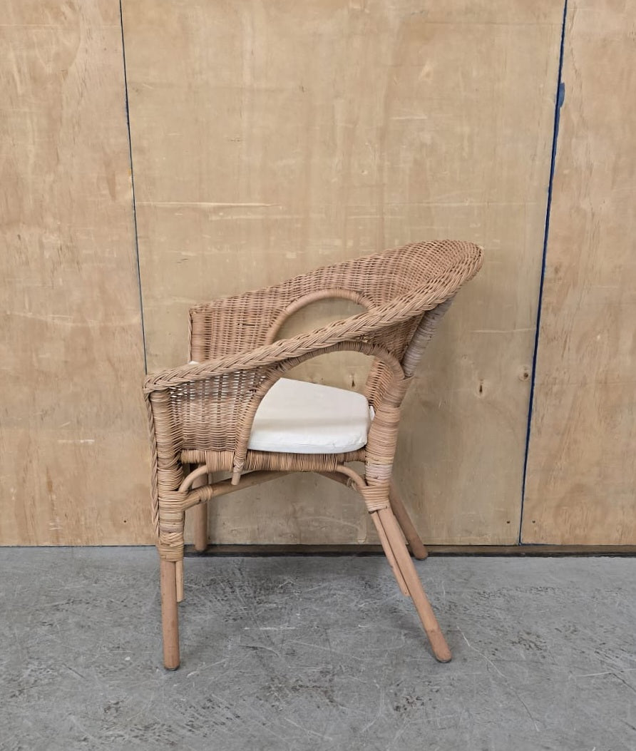 IKEA AGEN Single Rattan Chair with Seat Cushion - 104744