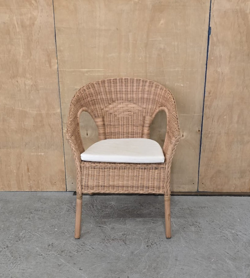 IKEA AGEN Single Rattan Chair with Seat Cushion - 104744
