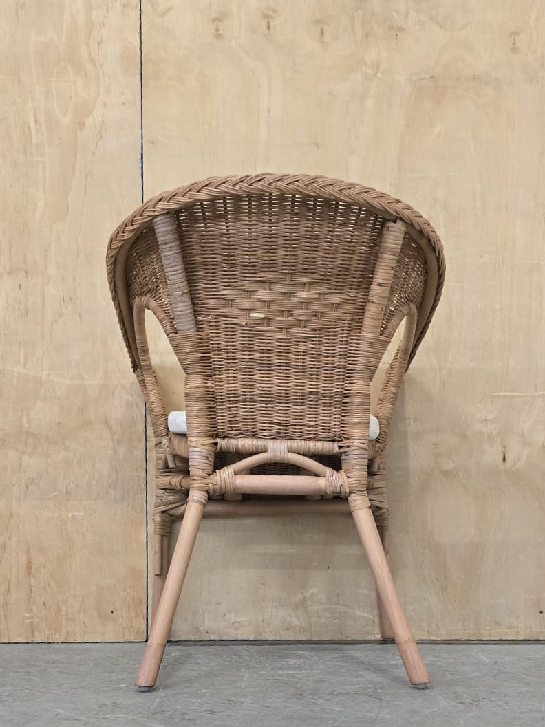 IKEA AGEN Single Rattan Chair with Seat Cushion - 104744