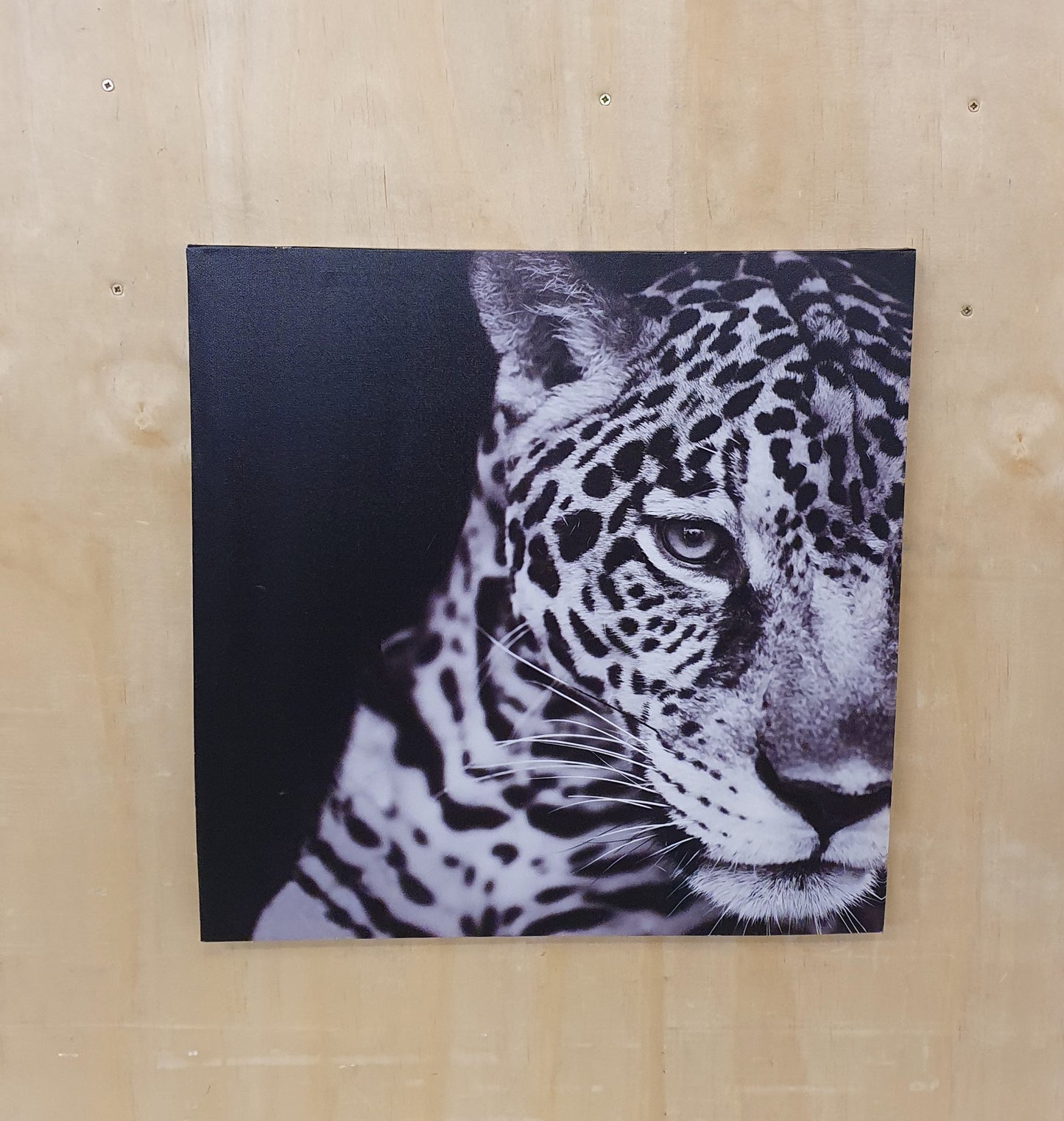 Leopard Canvas Art Print - 060225-05