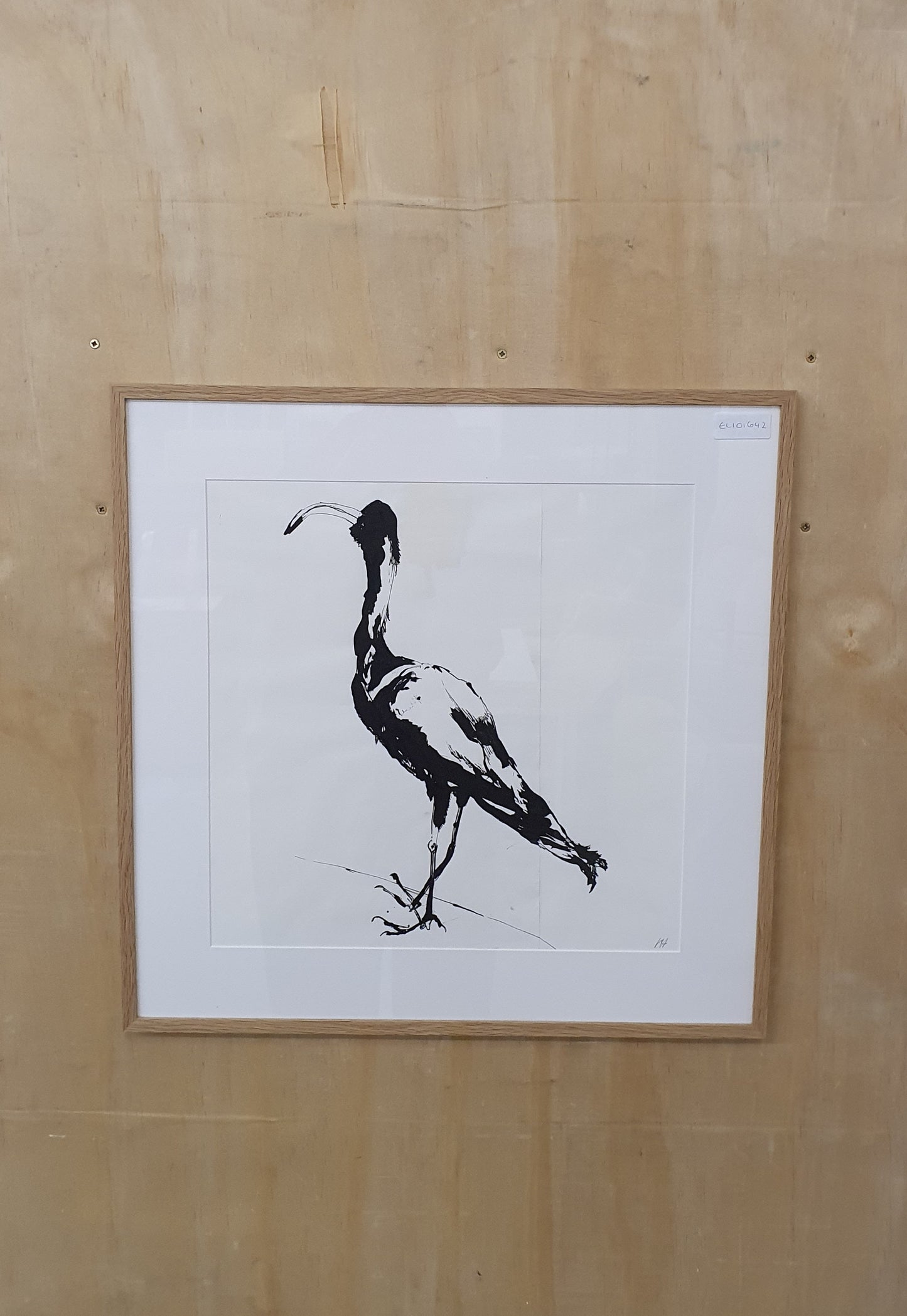 Black Bird Ink Drawing in Wood Frame - EL101642