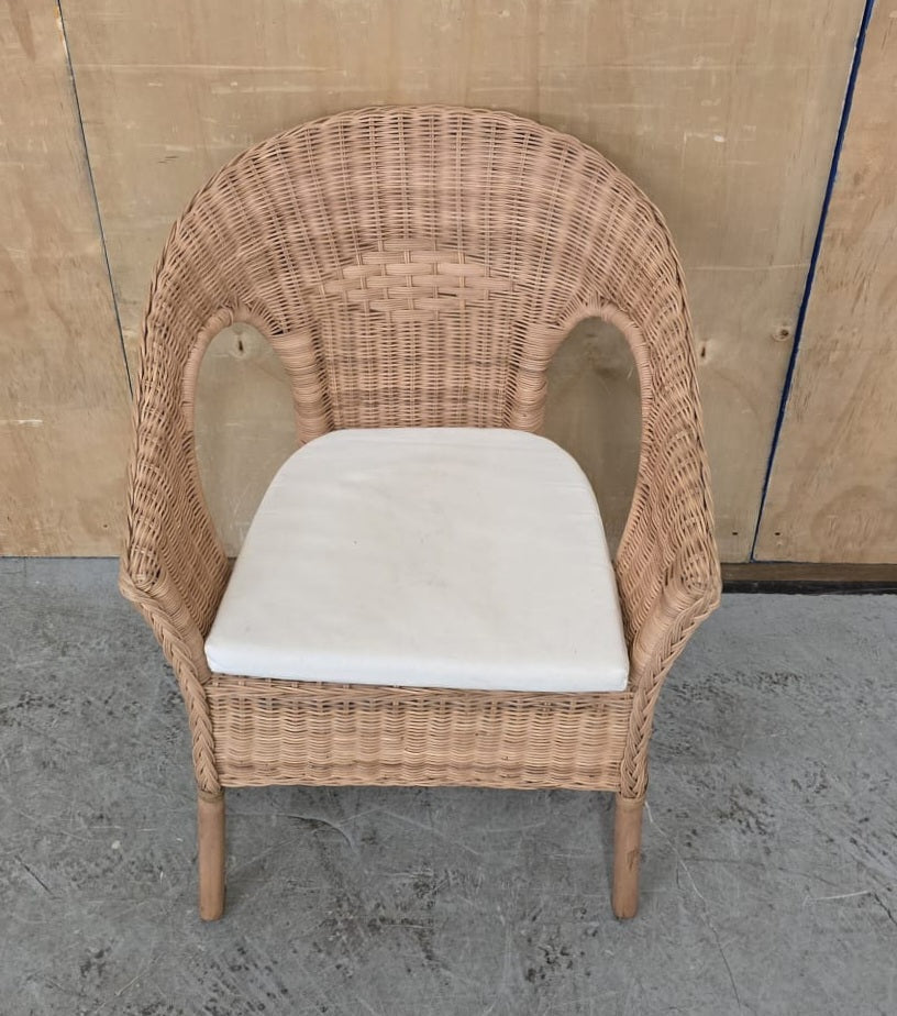IKEA AGEN Single Rattan Chair with Seat Cushion - 104744