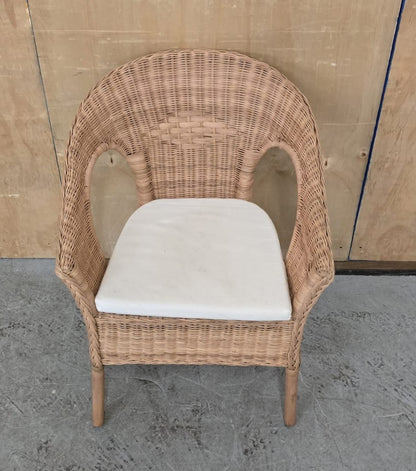 IKEA AGEN Single Rattan Chair with Seat Cushion - 104744