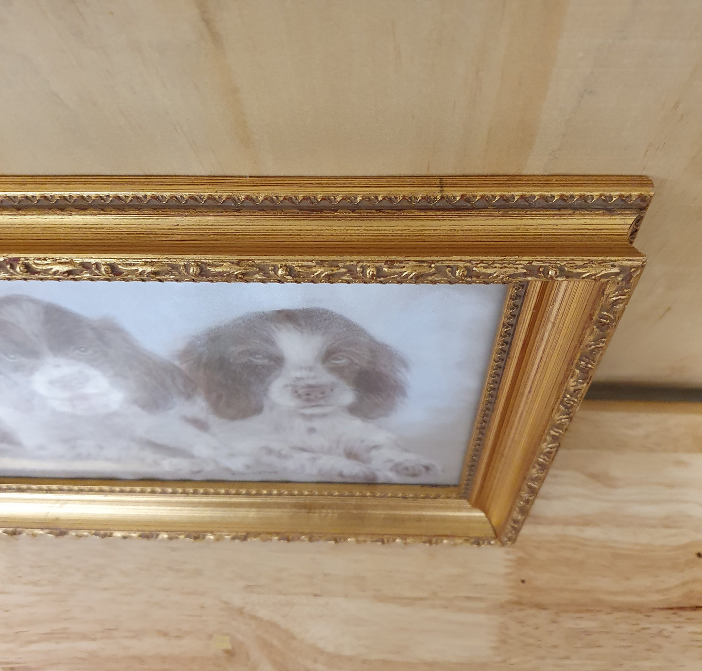 Two Spaniels Drawing in Guilded Frame - 291223-05