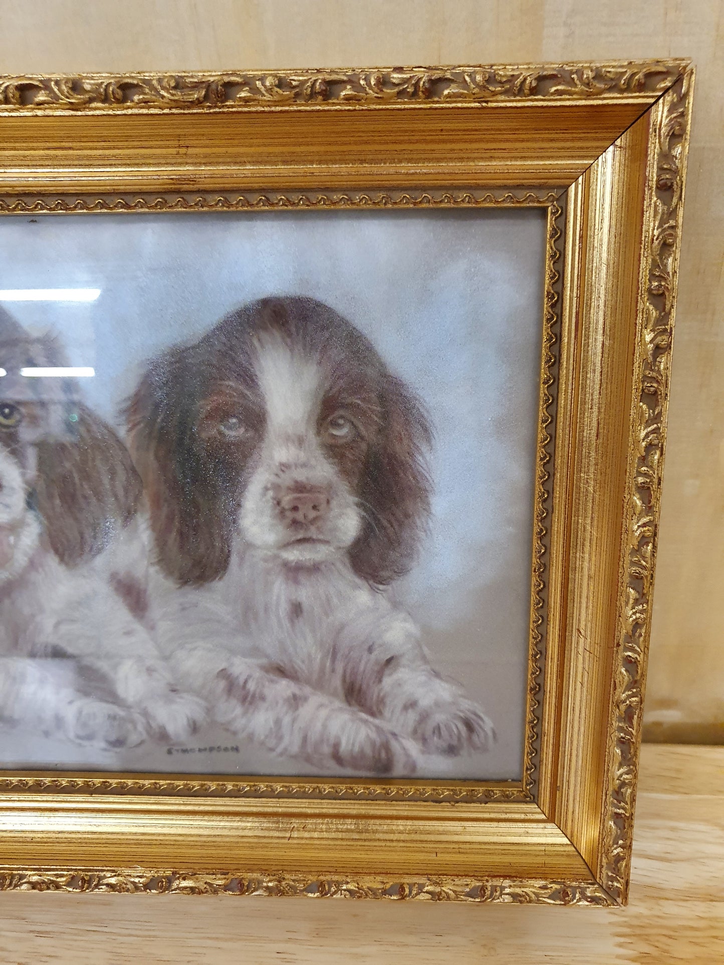 Two Spaniels Drawing in Guilded Frame - 291223-05