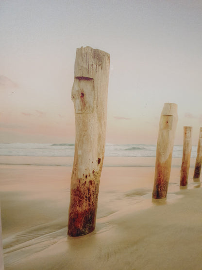 Sticks in the Sand Canvas - 170824-04