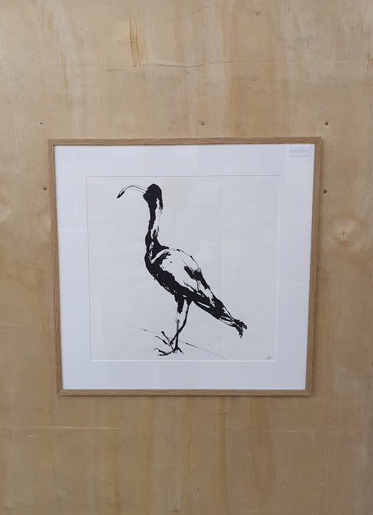 Black Bird Ink Drawing in Wood Frame - EL101642