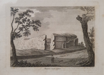 Walden Castle, Essex Vintage Art Print - 103746