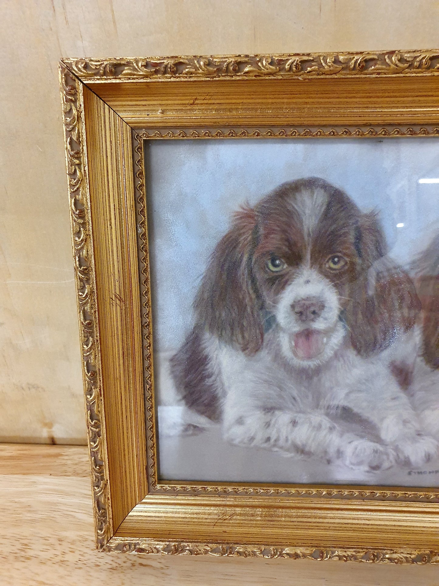 Two Spaniels Drawing in Guilded Frame - 291223-05