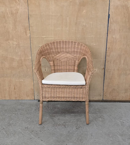 IKEA AGEN Single Rattan Chair with Seat Cushion - 104744