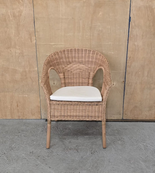 IKEA AGEN Single Rattan Chair with Seat Cushion - 104744
