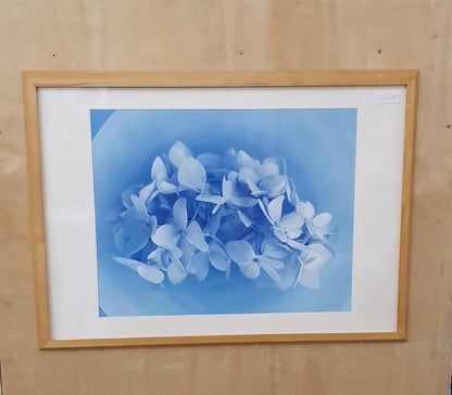 Floral Art Print in Wooden Frame  - 103145