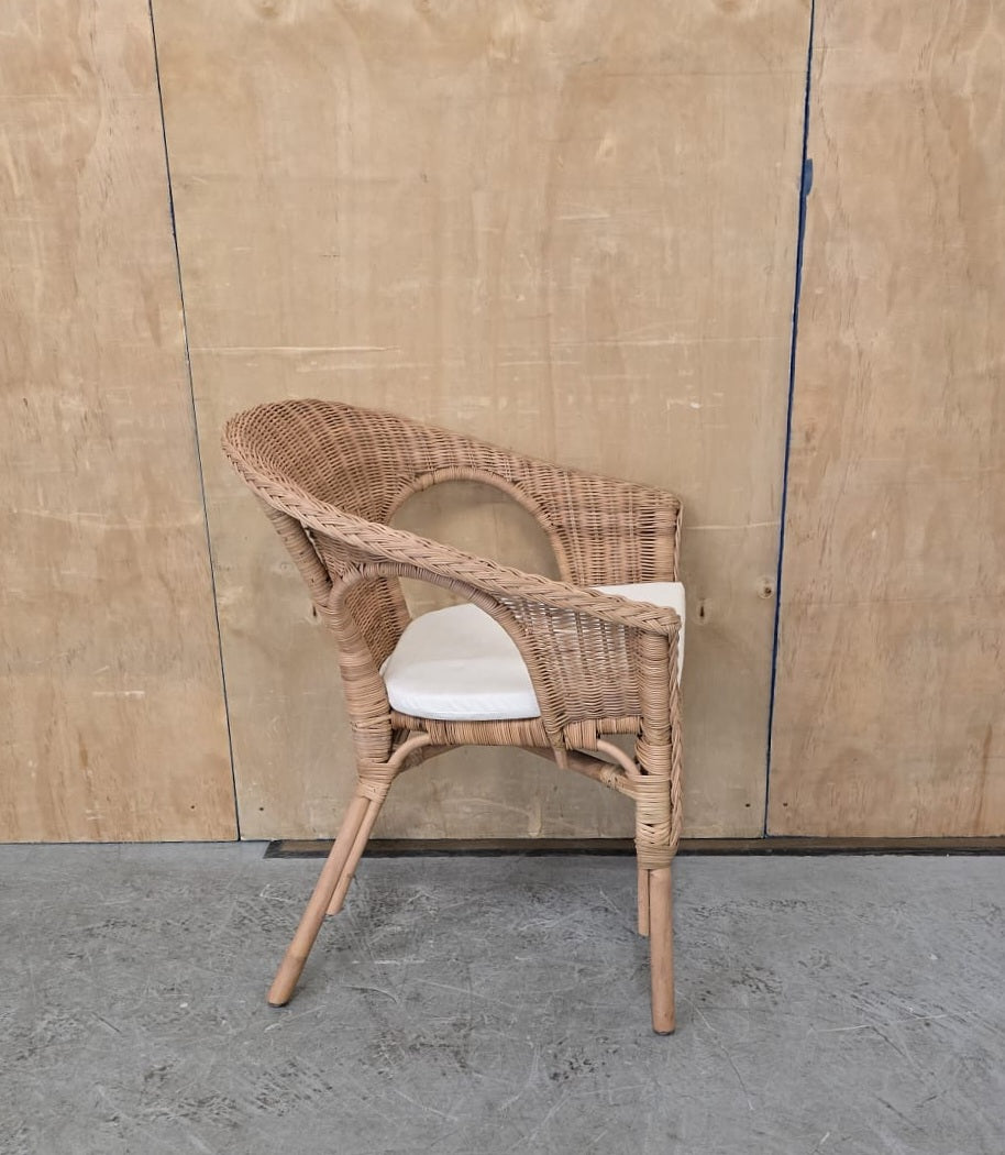 IKEA AGEN Single Rattan Chair with Seat Cushion - 104744