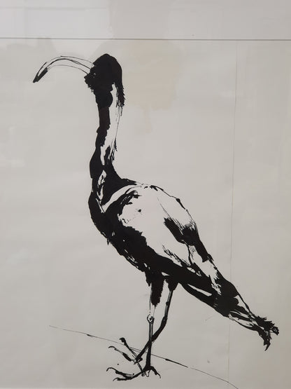 Black Bird Ink Drawing in Wood Frame - EL101642