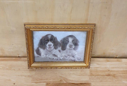 Two Spaniels Drawing in Guilded Frame - 291223-05